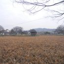 북면~칠보 | 정읍 봄맞이 나들이 &lt;정읍 피향정, 하연지, 무성서원, 성황산, 한정, 송정, 후송정, 동진강&gt;