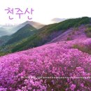 소계동121 | 봄 산행 명소 1, 온 산이 분홍빛 물결! 창원 천주산 진달래 만개 후기