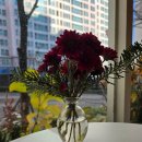 식물원로 | 식물원로71 온천장 브런치카페 후기, 점심시간 만석인 집앞카페