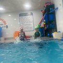 블루마린 이미지