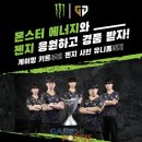 월드가몽 이미지
