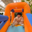 수혁농장 이미지