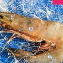 가평한옥마을 이미지