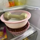 그릭케이크 유청분리기 후기 그릭요거트 만들기 대용량 추천템 베어그릭스 비교 말많음주의