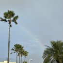 무지개세탁프라자 이미지