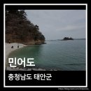 에메랄드로 | 충남 태안 민어도 물때 만조 시간 에메랄드 바다 풍경 후기