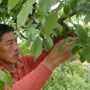 용대농장 이미지