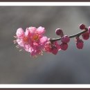 성용호 - 2302 | 성용호