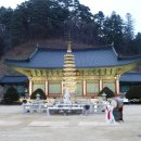 월정사 탑돌이 이미지