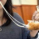 백소정인하대 | 인하대 후문 | 돈까스 냉소바 맛집 백소정 인하대후문점