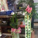 촌장네당구장 이미지