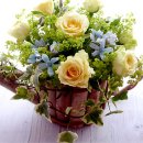 월드플라워 이미지