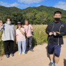 연둔리 숲정이 이미지