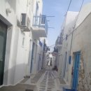 리틀미코노스3 이미지