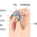 트리코나요가