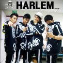 우영 Daum카페