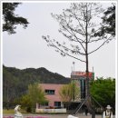 선바위관광지 이미지