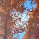 외동반림로248번길 이미지