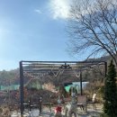 2581 | 여주 에스프레소 맛집, 아늑한 카페 ‘카페우디’ 내돈내산 후기