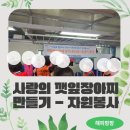 농업기술센터(자원봉사센터) | [봉사활동 후기] 사랑의 깻잎장아찌 만들기-남양주 자원봉사센터