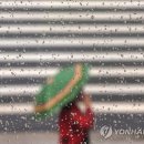 소나기 이미지