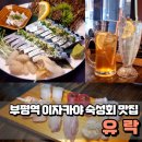 유락횟집 | 부평역 이자카야 유락 각종 신선 숙성회 및 고등어회 맛집 추천