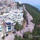 해운대이벤트광장 1 이미지