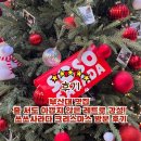 장전로12번길(1-25) | 부산대 맛집 줄 서도 아깝지 않은 레트로 감성! 쏘쏘사라다 크리스마스 방문 후기