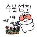플렌케