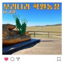 유명덕농장 네이버블로그
