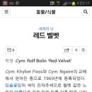 레드벨벳그룹명뜻 이미지