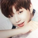 스텁