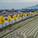 고성종합운동장 가는길 이미지