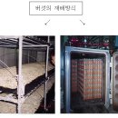 버섯 병재배 기술