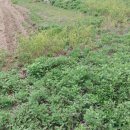 둔전마을회관 이미지