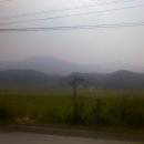 덕치농장 이미지