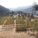 제일목장(2) 이미지