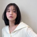 아르더헤어 이미지