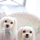 열정샵