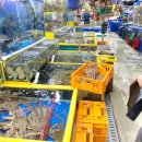 시장수산 이미지