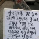 태가 이미지