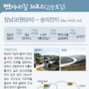 적성교차로 이미지