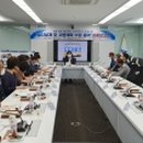 도도리 이미지
