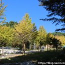 원주얼교육관 | 임금도 꺾지 못한 고려를 향한 충정, 운곡 원천석 이야기(2) - 강원도 원주시 행구동 운곡원천선선생묘역