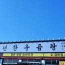 정곰탕 이미지