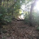 유석선생묘 및 신도비 이미지