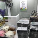 핫뽑기방 이미지