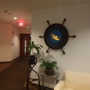 돌고래레스토랑 이미지