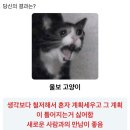 바비걸