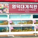 강구항 대게 맛집 대게궁 싱싱한 영덕횟집추천